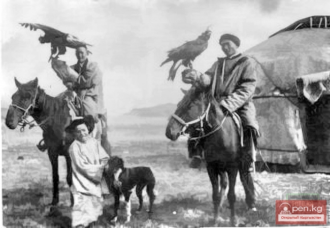 Как кыргызы отлавливают и дрессируют охотничьих птиц