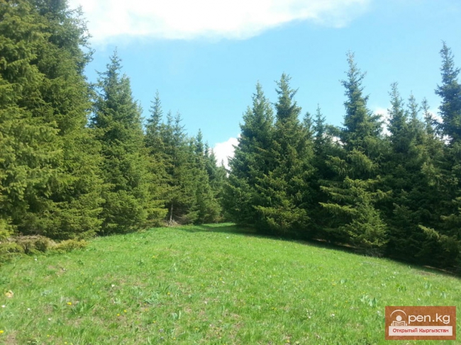 Горнолыжная база "Каракол"