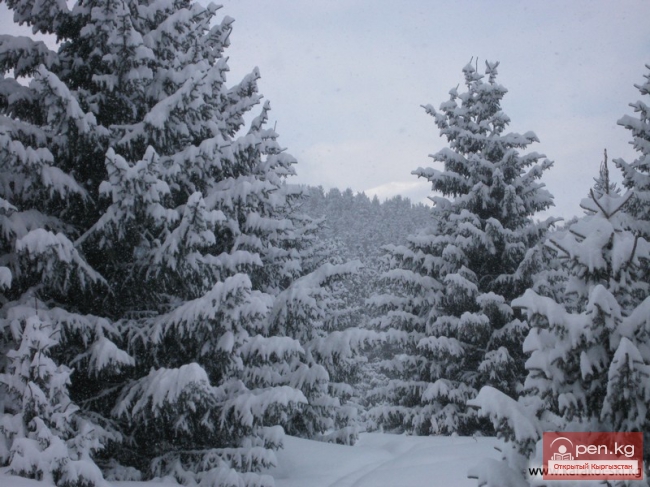 Горнолыжная база "Каракол"