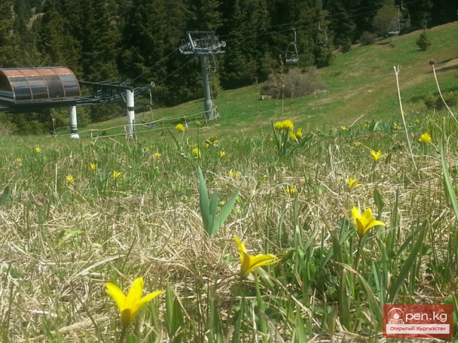 Горнолыжная база "Каракол"