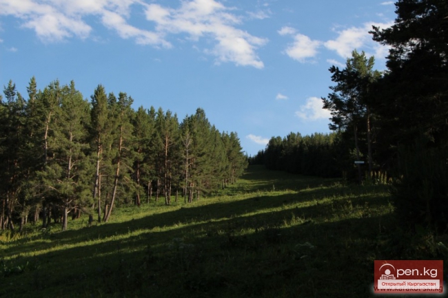 Горнолыжная база "Каракол"