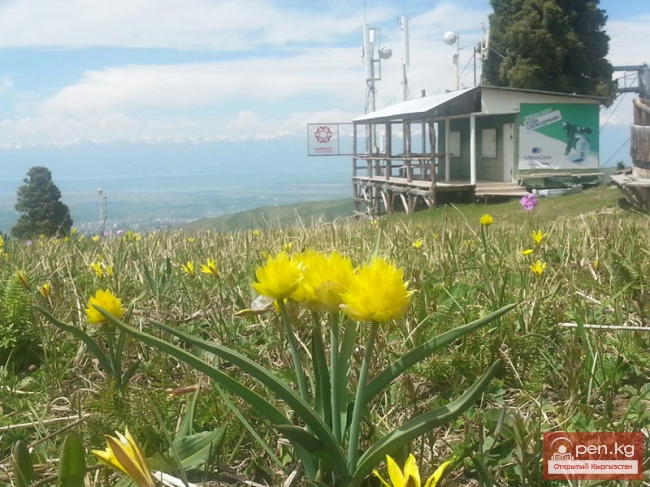 Горнолыжная база "Каракол"