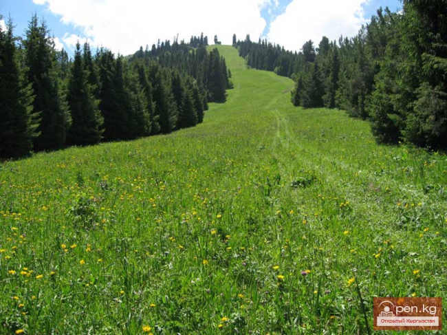 Горнолыжная база "Каракол"