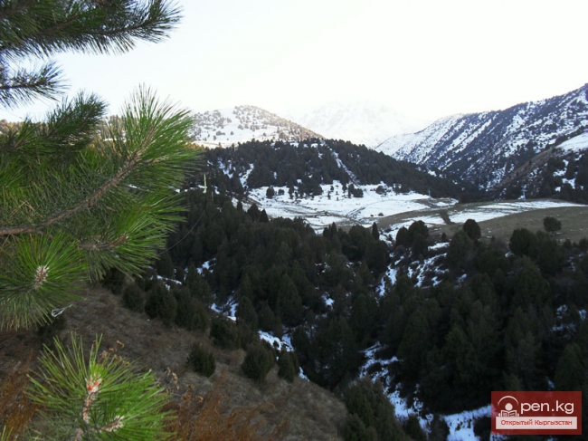 Горнолыжная база "Кашка-Суу"