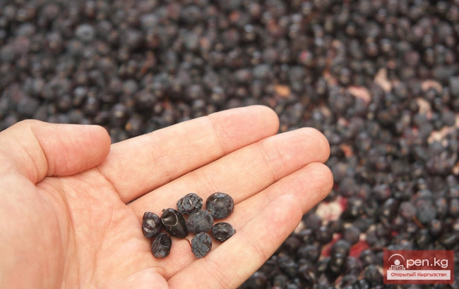 Горнолыжный отель «Ак-Таш»