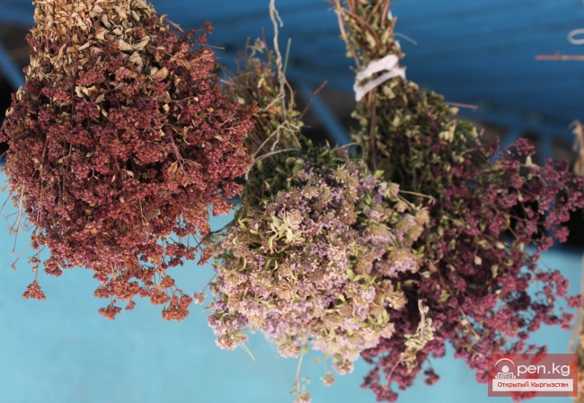 Горнолыжный отель «Ак-Таш»