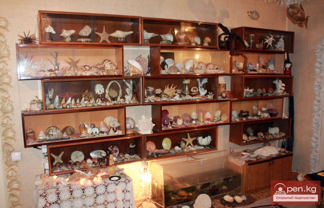 Романовская Ирина Рашитовна - о любви к природе и своём увлечении морской экзотикой