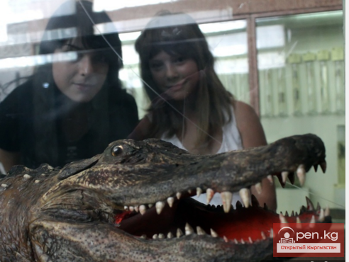 Зоологический музей им. Сапаша Касиева БПИ НАН КР