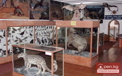 Зоологический музей им. Сапаша Касиева БПИ НАН КР