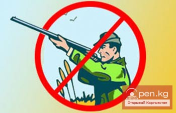 Мораторий на охоту предлагают ввести в Кыргызстане