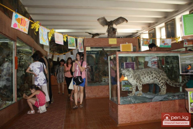 Зоологический музей им. Сапаша Касиева БПИ НАН КР