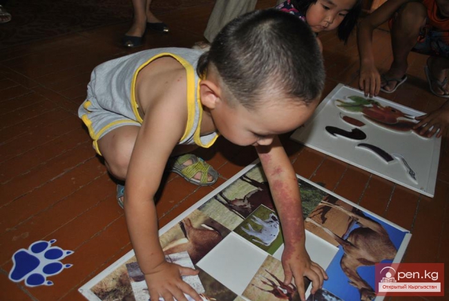 Зоологический музей им. Сапаша Касиева БПИ НАН КР