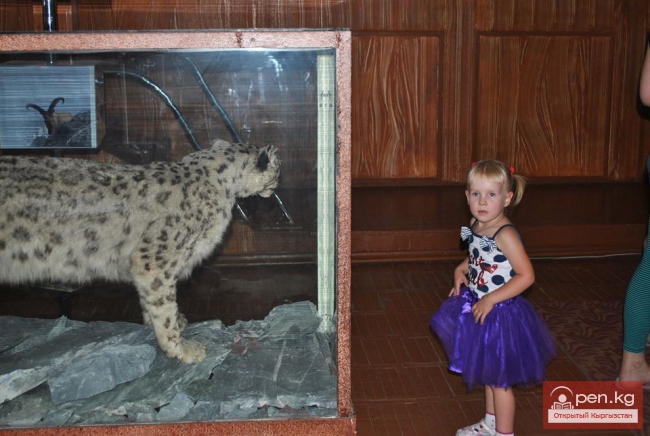 Зоологический музей им. Сапаша Касиева БПИ НАН КР