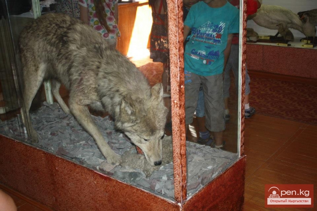 Зоологический музей им. Сапаша Касиева БПИ НАН КР