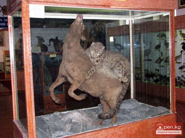 Зоологический музей им. Сапаша Касиева БПИ НАН КР