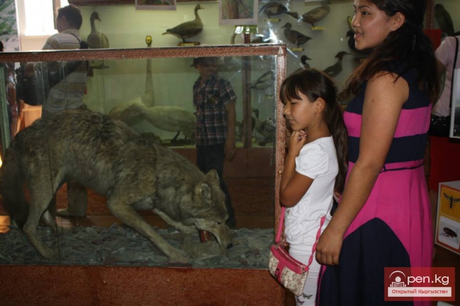 Зоологический музей им. Сапаша Касиева БПИ НАН КР