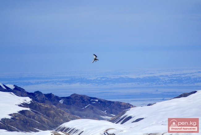Горнолыжная база «Карион-ЗиЛ»