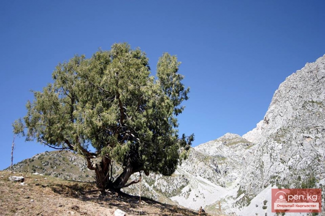 Арсланбоб – «земной рай» Кыргызстана