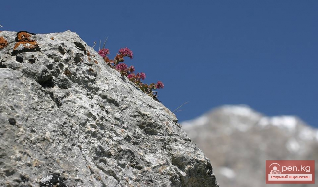 Арсланбоб – «земной рай» Кыргызстана