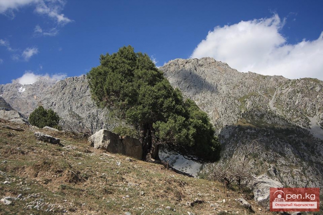 Арсланбоб – «земной рай» Кыргызстана