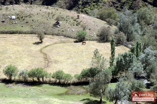 Арсланбоб – «земной рай» Кыргызстана