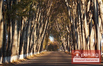 Темир Сариев спас иссык-кульскую достопримечательность от полного уничтожения