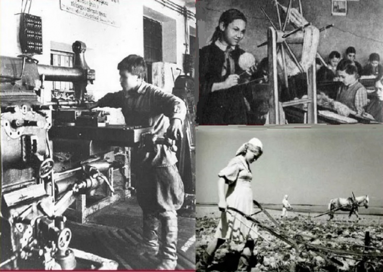 Деятельность местных Советов г. Фрунзе по руководству работой предприятий в период ВОВ