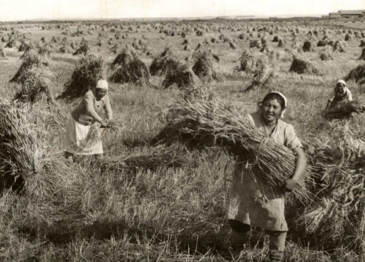 Сельское хозяйство Киргизии на службе фронту 1941 г.