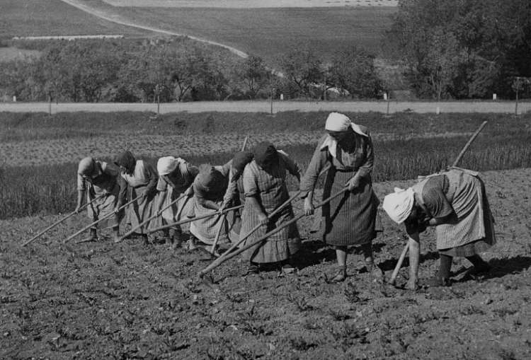 Изменения в структуре посевных площадей Киргизии в 1942 году