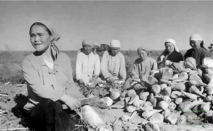 Ударный труд колхозников Киргизской ССР в 1942 году