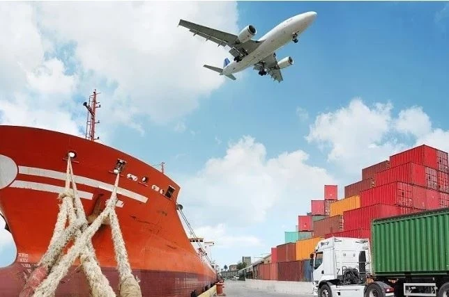 В Минтрансе КР прокомментировали высказывания эксперта Андрея Белова