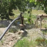 ГКНБ КР: Задержан начальник Каракольского муниципального предприятия «Водоканал»