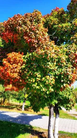 Заброшенный город Энильчек и Каджи-Сай. Фото и видео читателей 24.kg