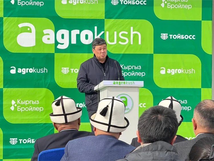 В Кемине будут производить до 15 тысяч тонн куриного мяса в год