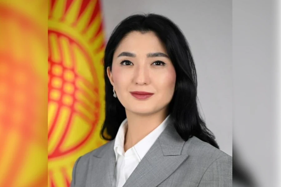 Беназир Нурланова назначена заместителем министра экономики и коммерции