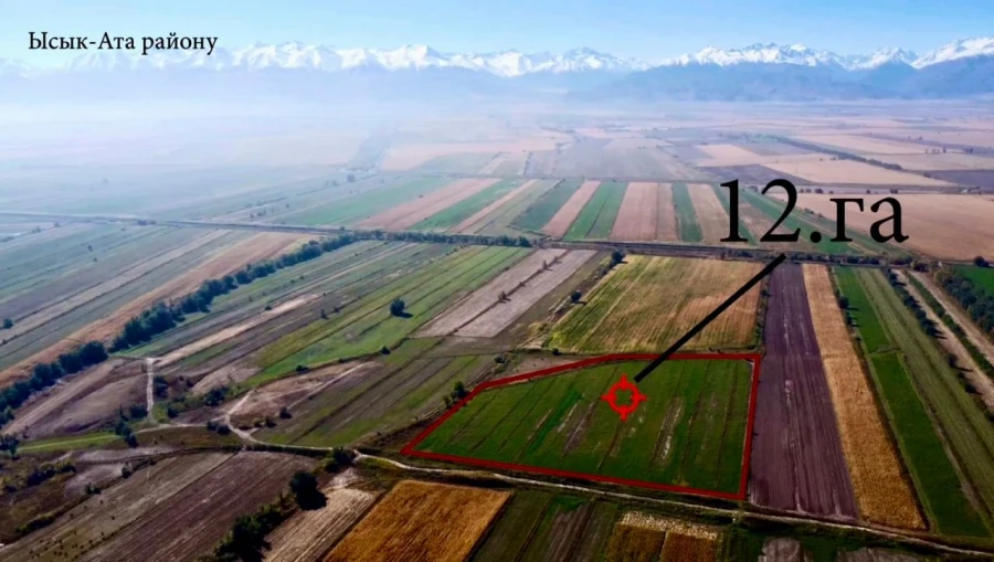 В Иссык-Ате на баланс государства возвращено 226 га земель