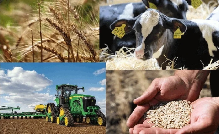 Проведение сельскохозяйственной переписи в Кыргызстане перенесли на 2026 год