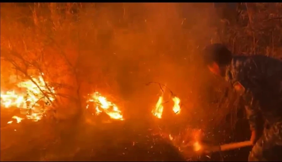 Сотрудники милиции на Иссык-Куле предотвратили лесной пожар