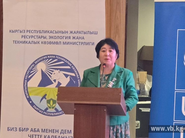 В Кыргызстане предложили создать эко-музей снежного барса