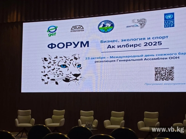 Кыргызстан стал центром глобального диалога о защите снежного барса