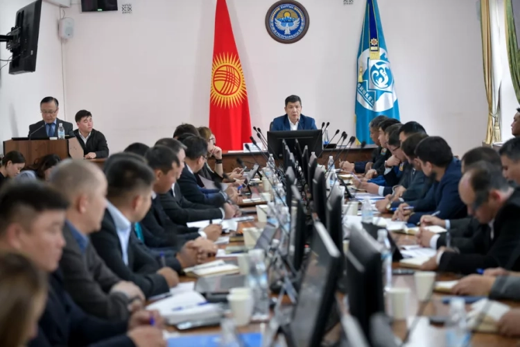 Бишкек готовится к саммиту ШОС, Всемирным играм кочевников и масштабной осенней посадке деревьев