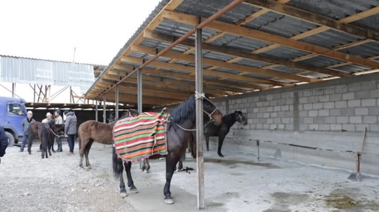 Ветслужба Кыргызстана: Запрещается ввоз животных на скотный рынок без ветеринарной справки