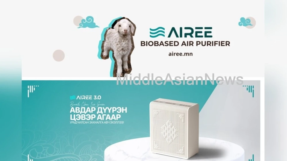 Новый воздухоочиститель из шерсти монгольских овец поступил в продажу