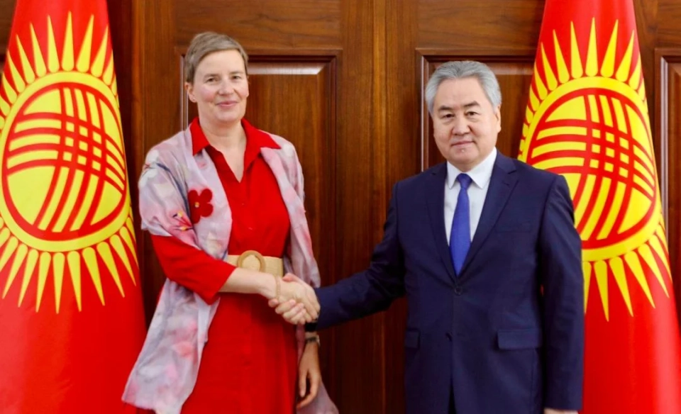 Кулубаев обсудил с послом Германии двустороннее сотрудничество и предстоящие выборы